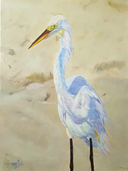 Boca White Egret - Tinas Fine Arts