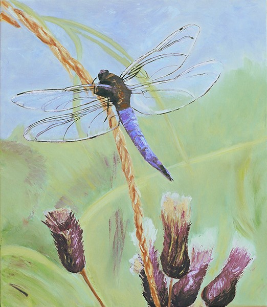 Dance of the Dragonfly - Tinas Fine Arts