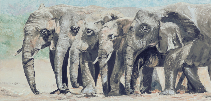 The A's and Their Elephants, Together Since July 10, 1902 — Todd